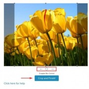 How to Create a Gravatar How to Create a Gravatar
