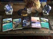 Let’s talk Book Translations!